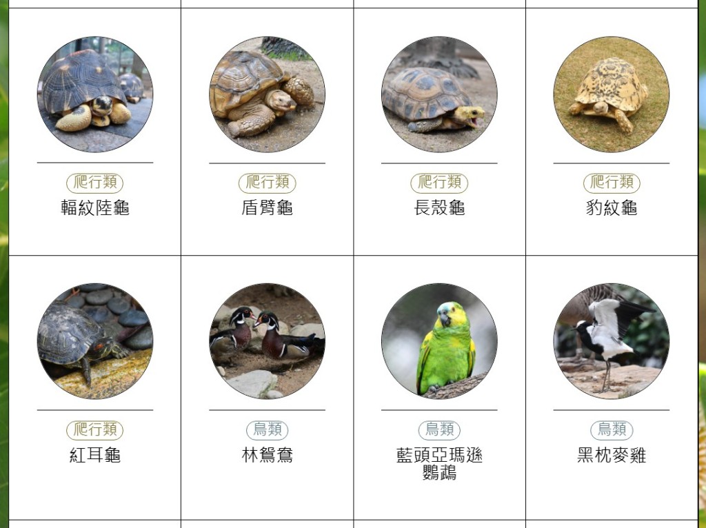 香港動植物公園動物圖鑑。「香港動植物公園」官方網站截圖 香港動植物公園動物圖鑑。「香港動植物公園」官方網站截圖