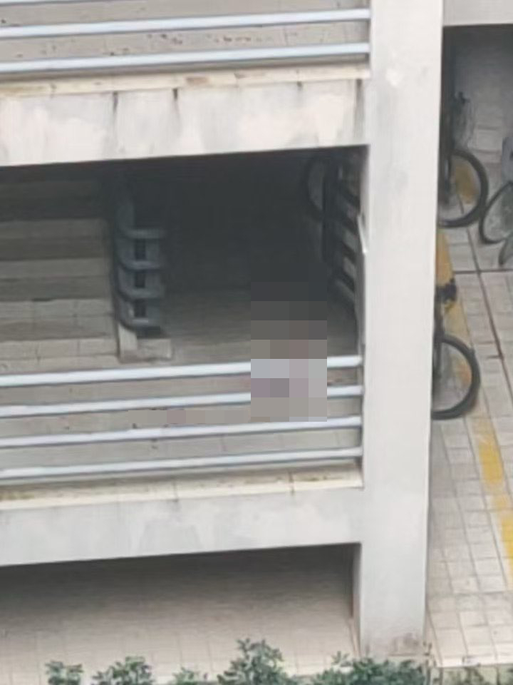 校園梯間及走廊遺下傷者大量血跡。X 校園梯間及走廊遺下傷者大量血跡。X