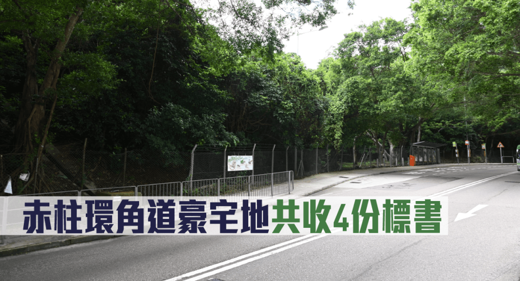 赤柱環角道豪宅地共收4份標書。