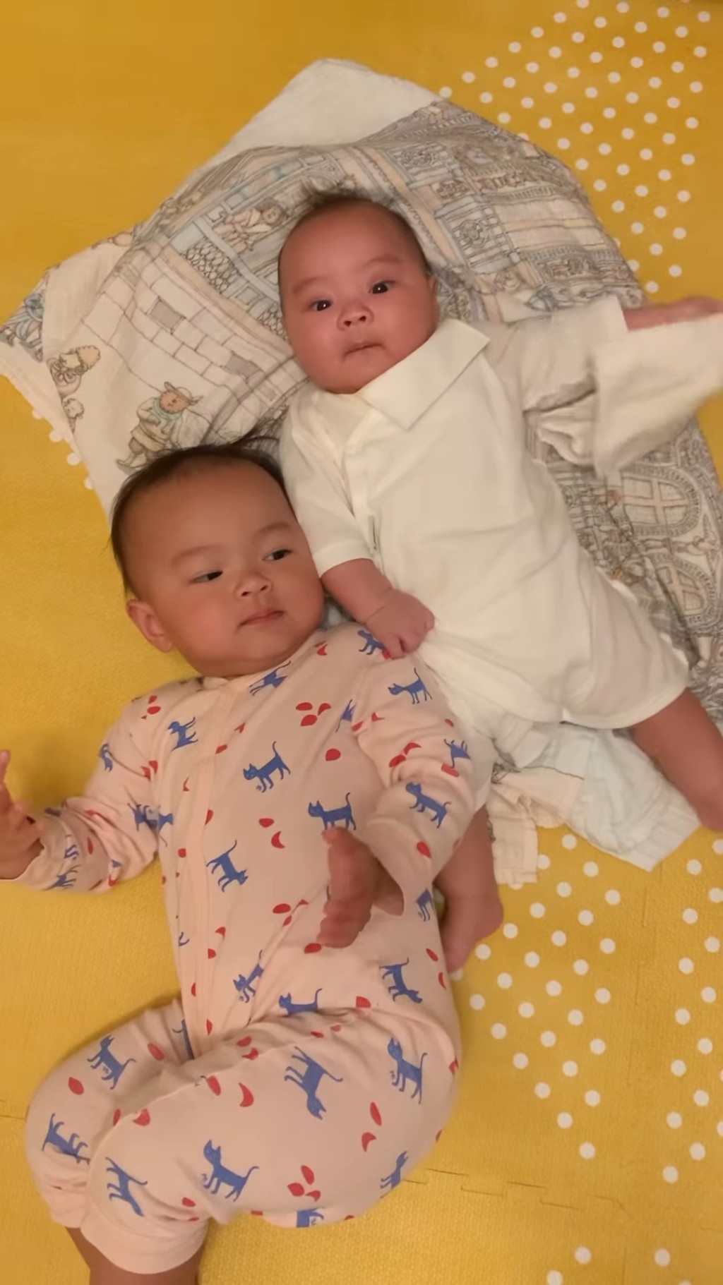朱慧敏的一對仔女萌爆,深得網民歡心。 朱慧敏的一對仔女萌爆,深得網民歡心。