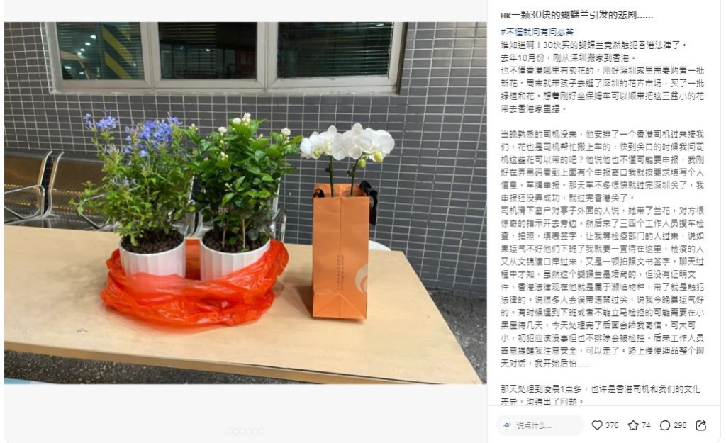 内地女在小红书分享自己误携价值¥30蝴蝶兰回港被检控的事情（图片来源：小红书）