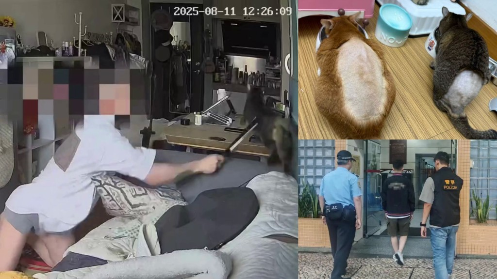 天眼直擊｜恐怖情人闖女友住所連環虐貓 澳門30歲男落網 聲稱不滿波鞋被咬破