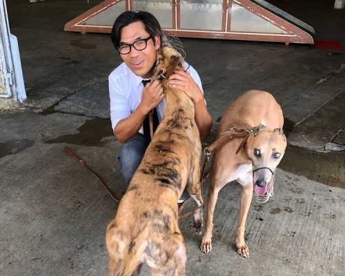 澳門格力犬料最快10月到港。資料圖片