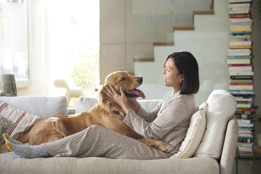 李泳淇在廣告中面對愛犬病危一刻，真情流露。