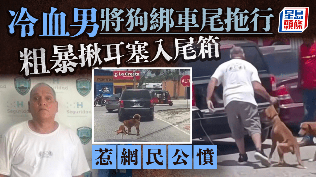 冷血男私家車綁鏈拖狗行 粗暴揪耳塞車尾箱引公憤 下場慘了