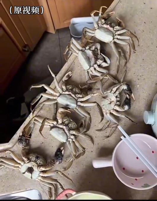 廣州增城有買家用AI合成照訛稱大閘蟹買8死6，經「僅退款」騙去¥195。抖音