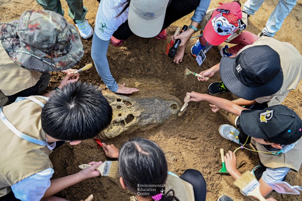 透過化石和古生物學課程,喜歡科學的小朋友可以盡情探索古代地貌與研究化石。 透過化石和古生物學課程,喜歡科學的小朋友可以盡情探索古代地貌與研究化石。