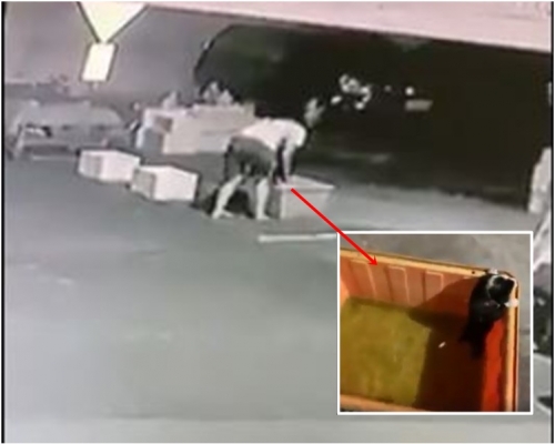 女子將小狗放入有水的膠桶就離開不理小狗死活。fb