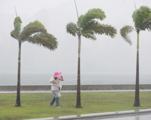 未來一兩日珠江口一帶間中有強風，並有驟雨及狂風雷暴，雨勢有時頗大。資料圖片