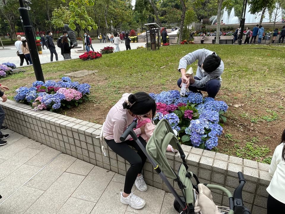 有网民亦指不止目睹一对情侣破坏绣球花。（图片来源：FB @ 香港风景摄影会）