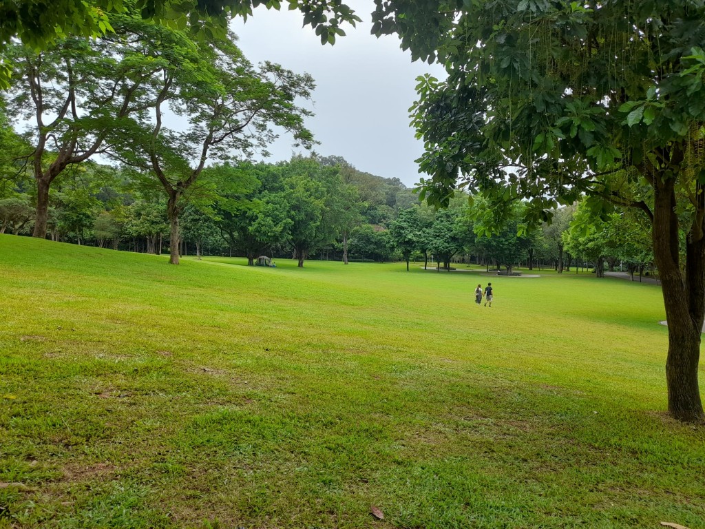 蓮花山公園內的極大片草地。