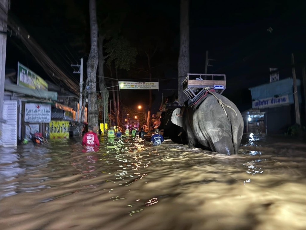 當地部分地區水深及胸。（FB@พระครูอ๊อด วีรวฑฺฒโน ภิกฺขุ）