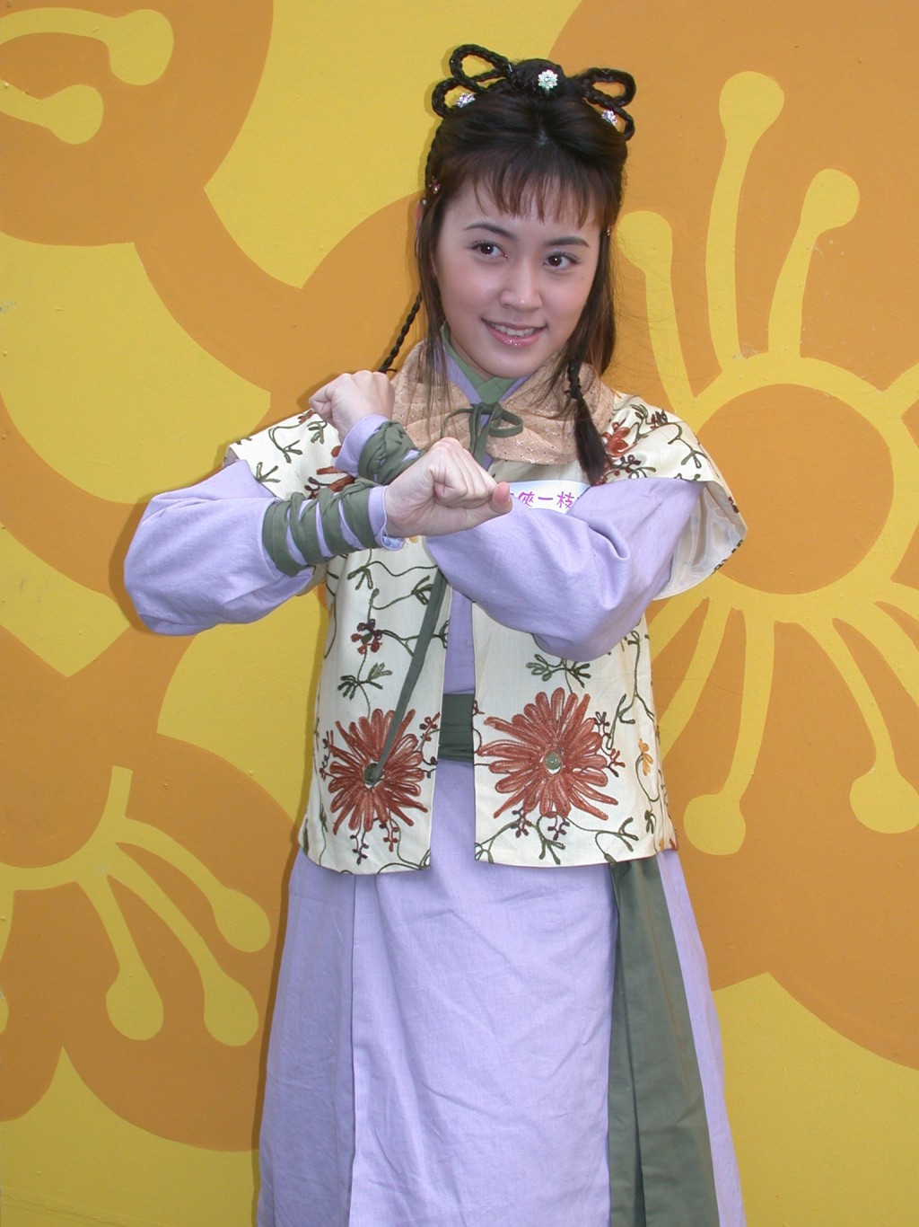 蒋雅文曾拍摄2004年剧集《怪侠一枝梅》。