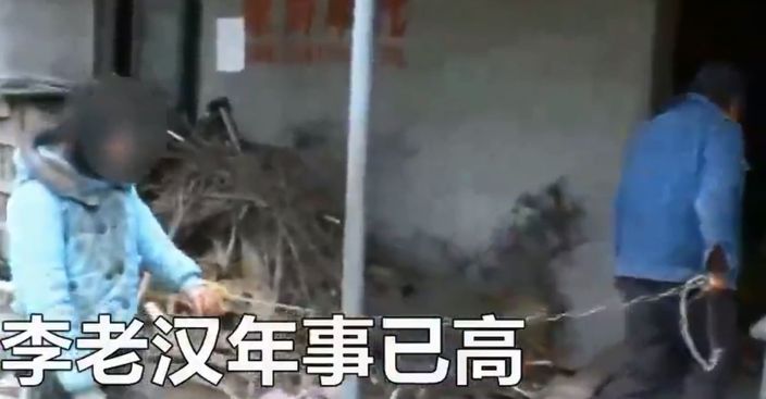 網圖
