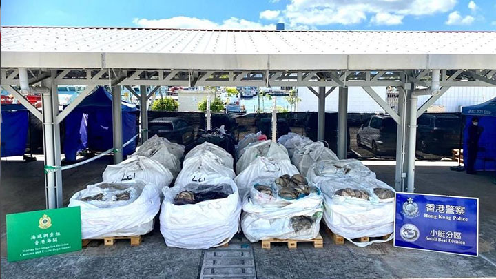 水警檢獲一批走私凍肉、貓糧及狗糧,約值500萬元。警方提供