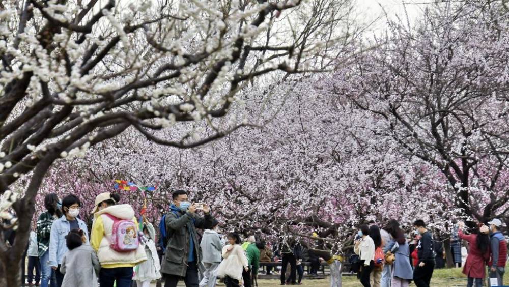 蘇女大生患「桃花癲」，醫示警春季好發。 新華社圖片/示意圖