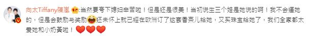 向太留言幫新抱反擊。