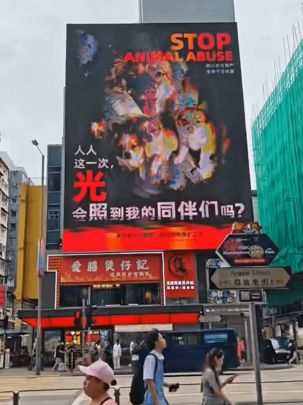 旺角出現巨幅廣告,呼籲市民關注揭陽虐狗案。Threads:itsiiomo 旺角出現巨幅廣告,呼籲市民關注揭陽虐狗案。Threads:itsiiomo