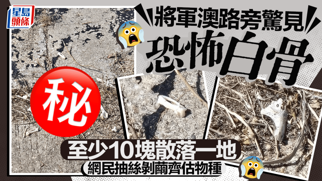 將軍澳路旁驚見恐怖白骨 至少10塊散落一地 網民抽絲剝繭齊估來歷
