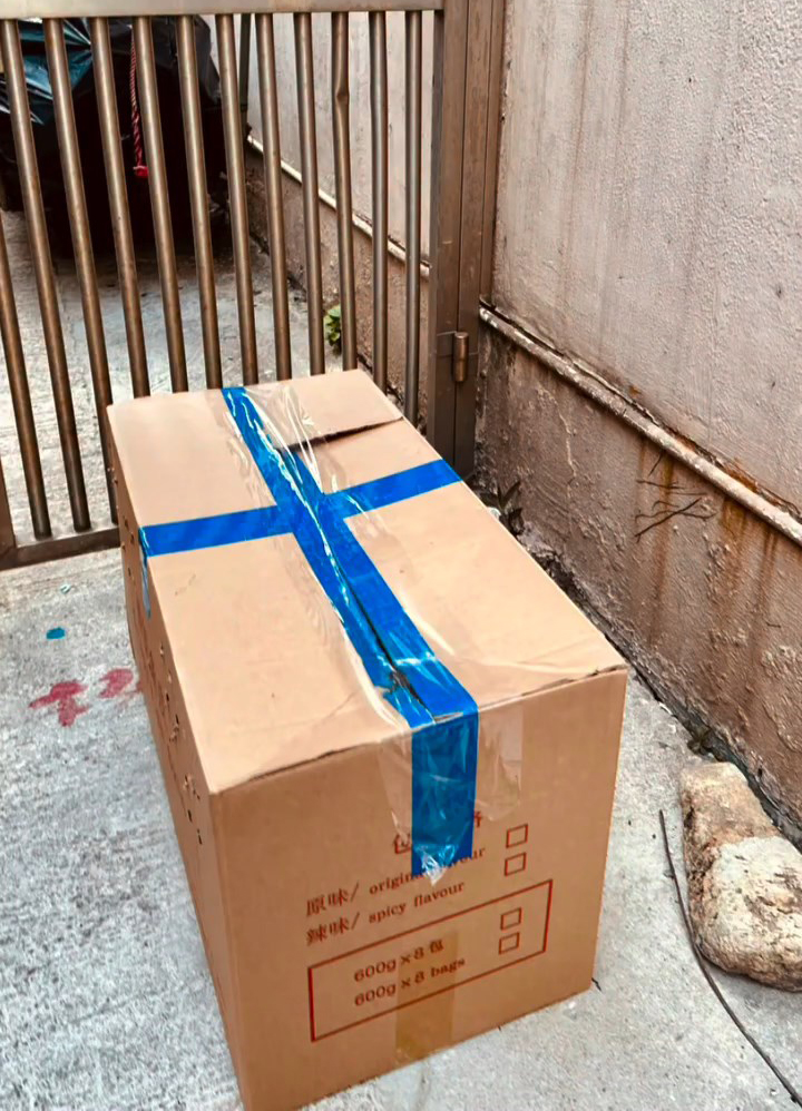 5隻貓B被人放在一個密封紙箱內。「貓の地帶動物慈善」提供相片 5隻貓B被人放在一個密封紙箱內。「貓の地帶動物慈善」提供相片