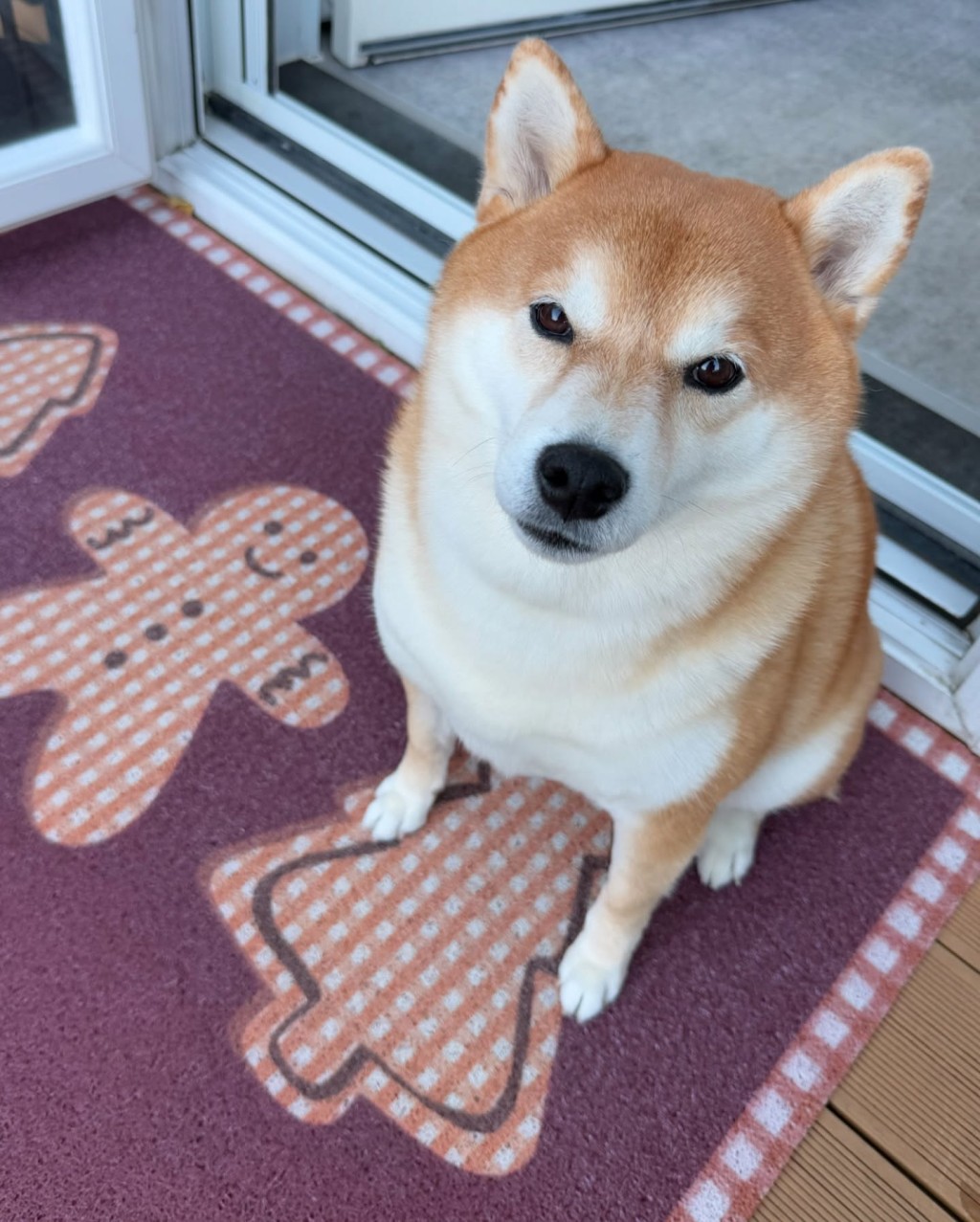 張曦雯還貼出愛犬在露台的照片，有非常大的活動空間。