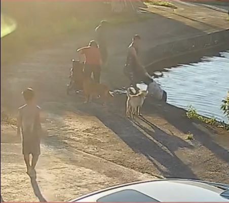 其他村民及時將落水祖孫二人救回上魚塘。抖音