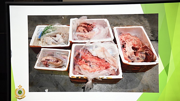 行動中起獲的走私凍肉。