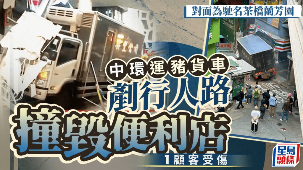 中環運豬貨車撞便利店 一顧客頭傷送院
