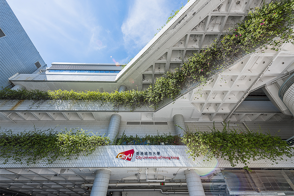 香港城市大學。 香港城市大學。