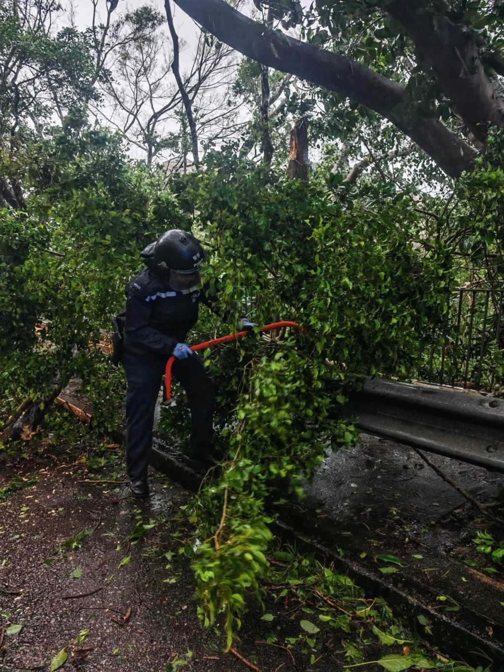 強颱風紅霞吹襲香港,導致多宗塌樹、水浸及棚架倒塌。香港警方FB圖片 強颱風紅霞吹襲香港,導致多宗塌樹、水浸及棚架倒塌。香港警方FB圖片