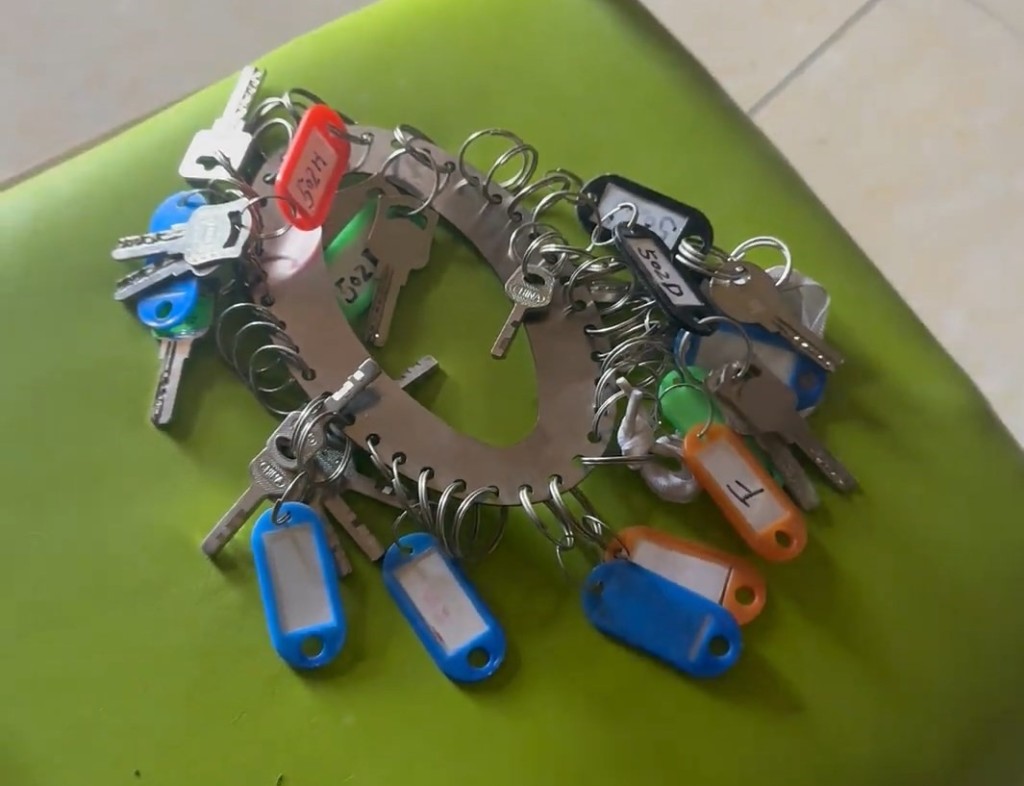 經過多年在深圳打拼，王麗萍擁有多個物業。抖音@尋家王麗萍