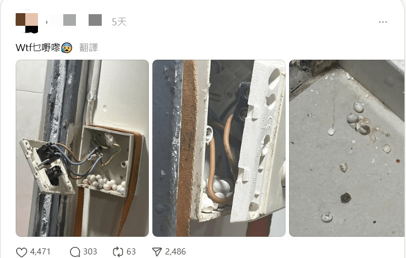 電掣內藏逾20隻白色蛋！港女崩潰求救「乜嘢嚟？」