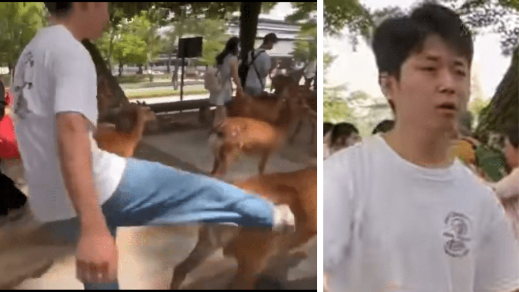 網傳影片顯示一名男子當街踢鹿。