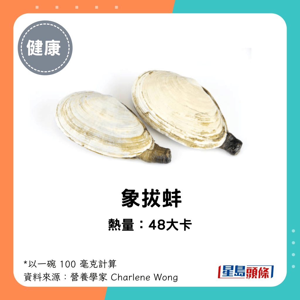 象拔蚌熱量：48大卡