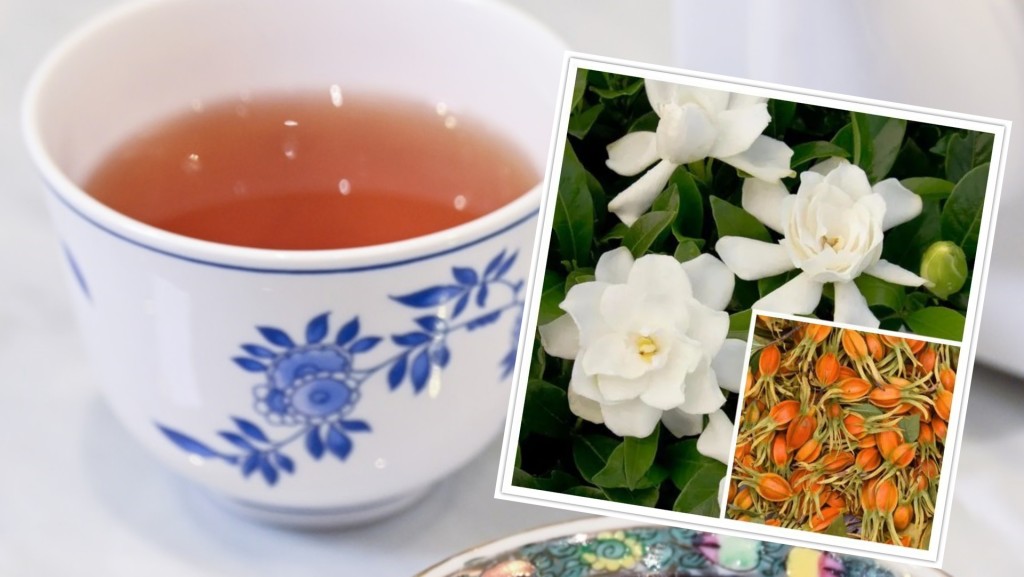 男子疑因10多年來長期飲用梔子茶險些引發腸壞死。網圖