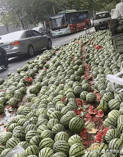 與執法人員爆衝突後,攤販開車輾爛擺在馬路販賣的西瓜。 與執法人員爆衝突後,攤販開車輾爛擺在馬路販賣的西瓜。