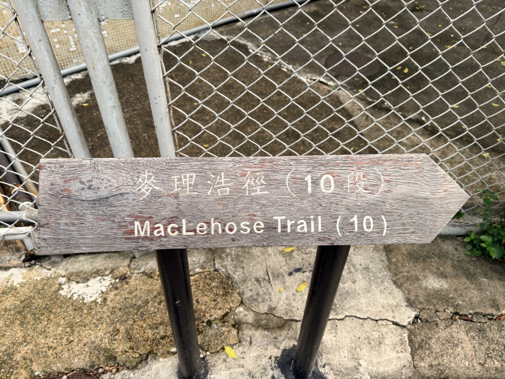 現場屯門麥理浩徑第10段。