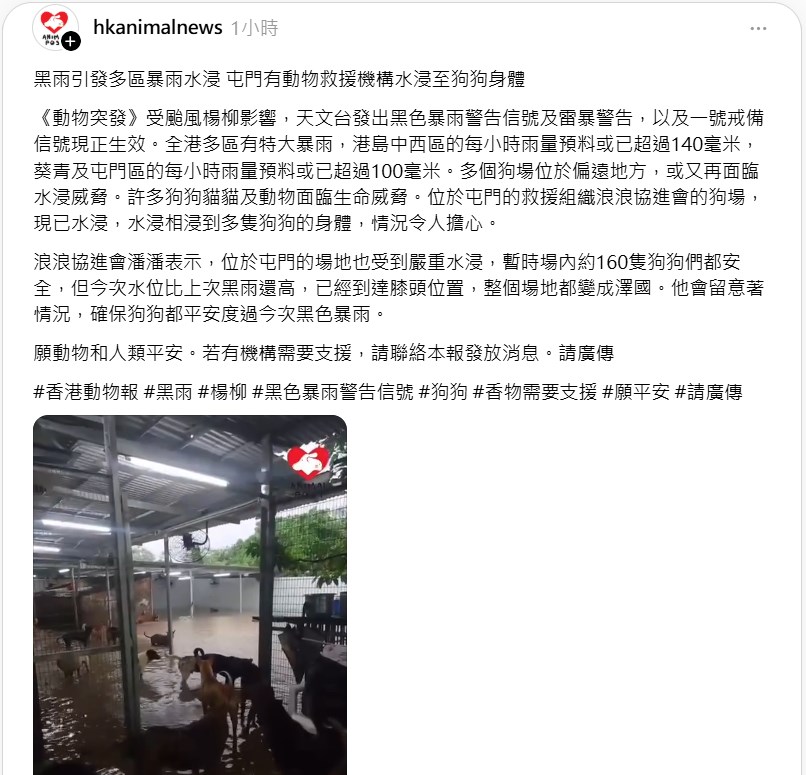 《香港動物報》也上載場內另一角度的短片。《香港動物報》＠Threads截圖
