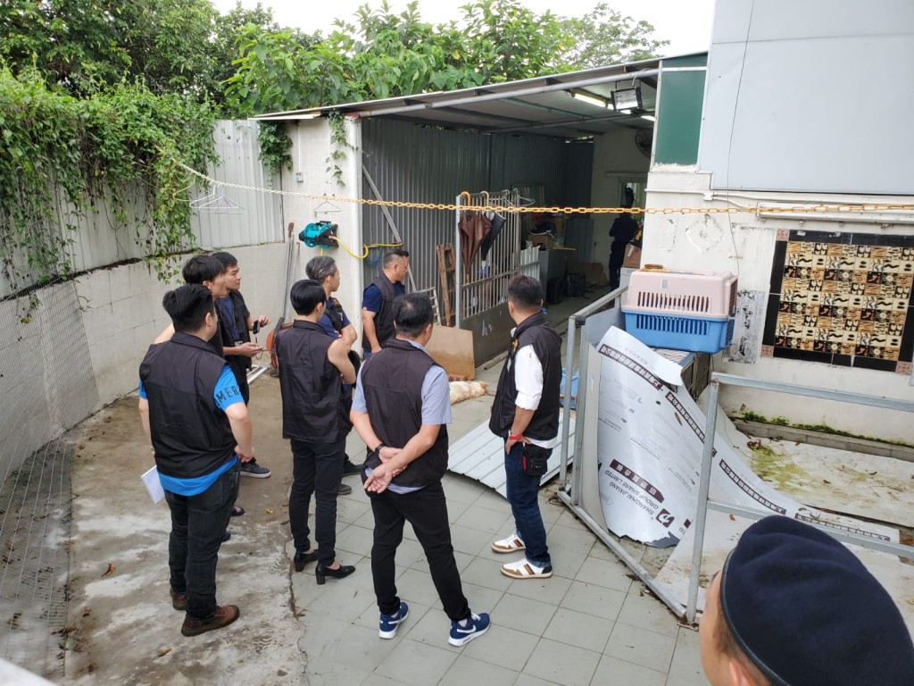 打古嶺坪輋路雲泉仙館附近一間鐵皮屋發生懷疑毒狗案。 蔡楚輝攝