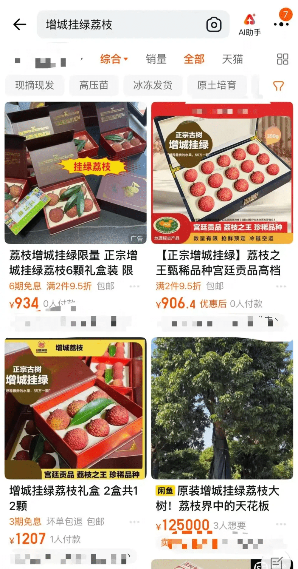 增城掛綠價格懸殊,6顆禮盒裝高達千元。 增城掛綠價格懸殊,6顆禮盒裝高達千元。