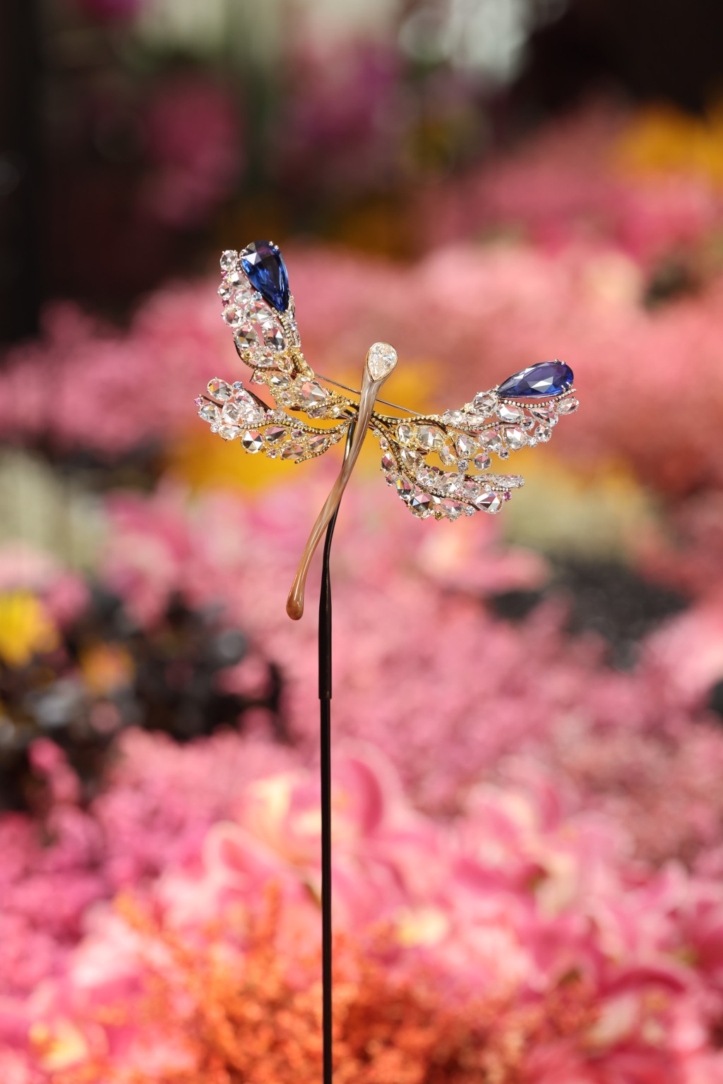 2023年在香港亮相的White Label高級珠寶蜻蜓系列中的藍寶石蜻蜓胸針，靈感源自「新藝術時期 (Art Nouveau)」風格。