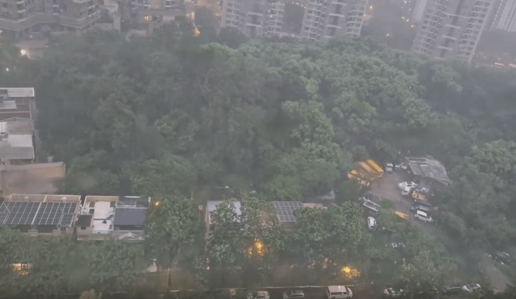 不少網民分享的片段中清晰聽到呼呼風聲大作,雨斜風橫,外面的樹木被強風吹至猛烈搖晃。(圖片來源:Threads@yankit_ko、goosegookie、ma.pui.100、joker11shadow、wewerecycle、angus.1119、bowieleung123) 不少網民分享的片段中清晰聽到呼呼風聲大作,雨斜風橫,外面的樹木被強風吹至猛烈搖晃。(圖片來源:Threads@yankit_ko、goosegookie、ma.pui.100、joker11shadow、wewerecycle、angus.1119、bowieleung123)