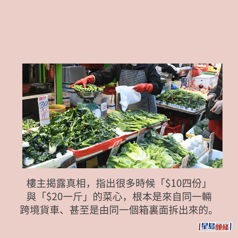 資料圖片 資料圖片