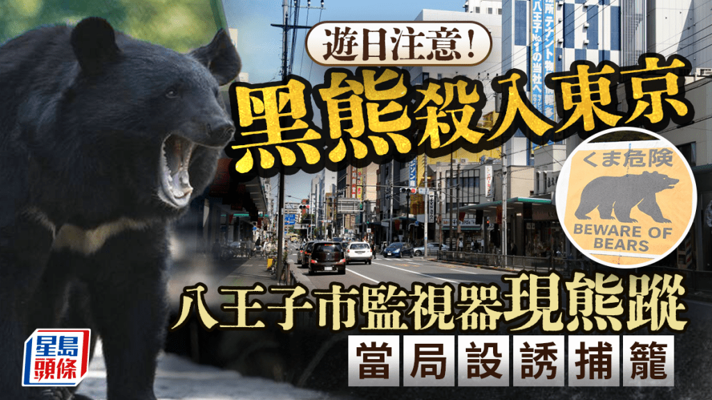 日本熊出沒 | 黑熊入侵東京八王子市 當局嚴陣以待 設籠誘捕