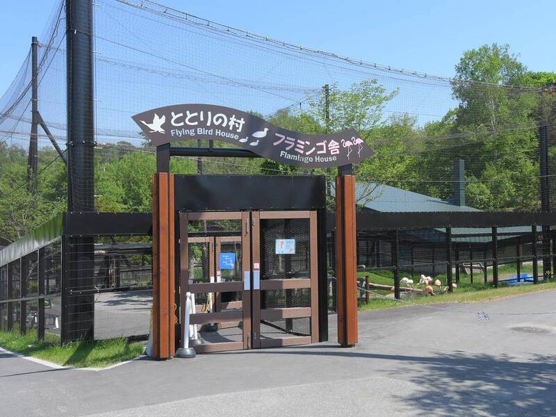 北海道旭山动物园是著名景点。动物园官网