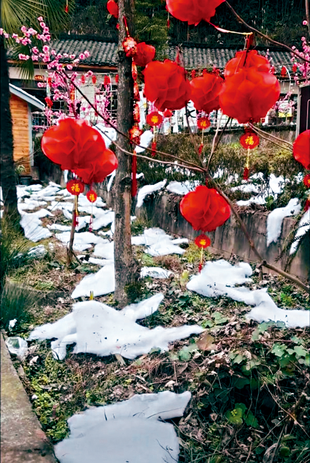 景區用棉花替代雪被遊客吐槽。