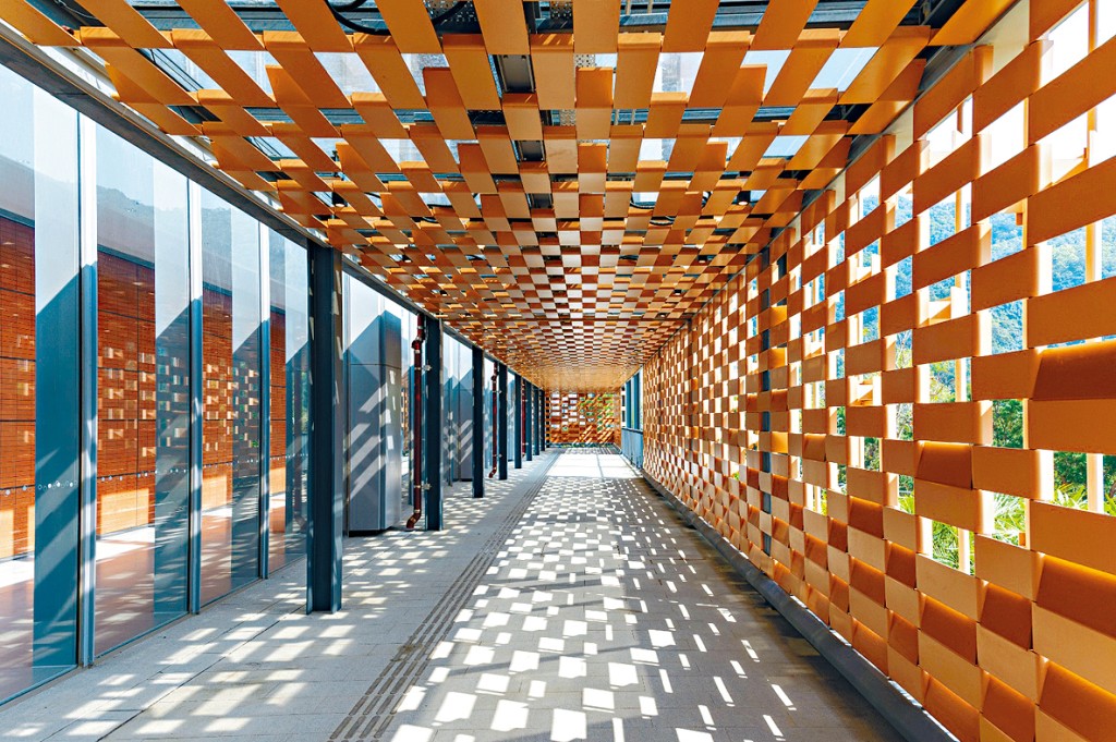 百子櫃長廊隨光影流轉。