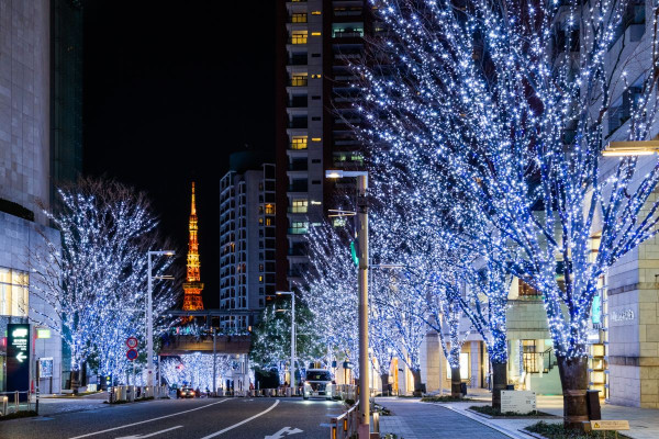 站站馬路中央，可拍攝東京鐵塔。