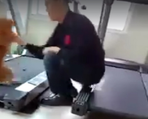 台北市一個消防員疑因情緒失控而出身打狗。影片截圖