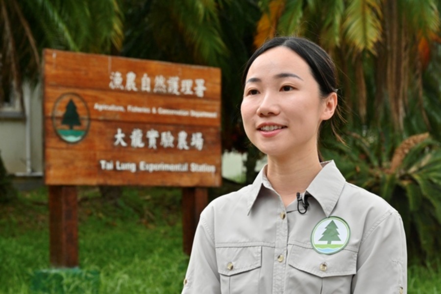 潘嘉欣表示，署方計劃建立本地漁農產品新品牌，為各類漁農產品設立生產標準等，確保品質達標。政府新聞處圖片